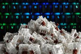 Gateron Mechanical Switches - By Glorious